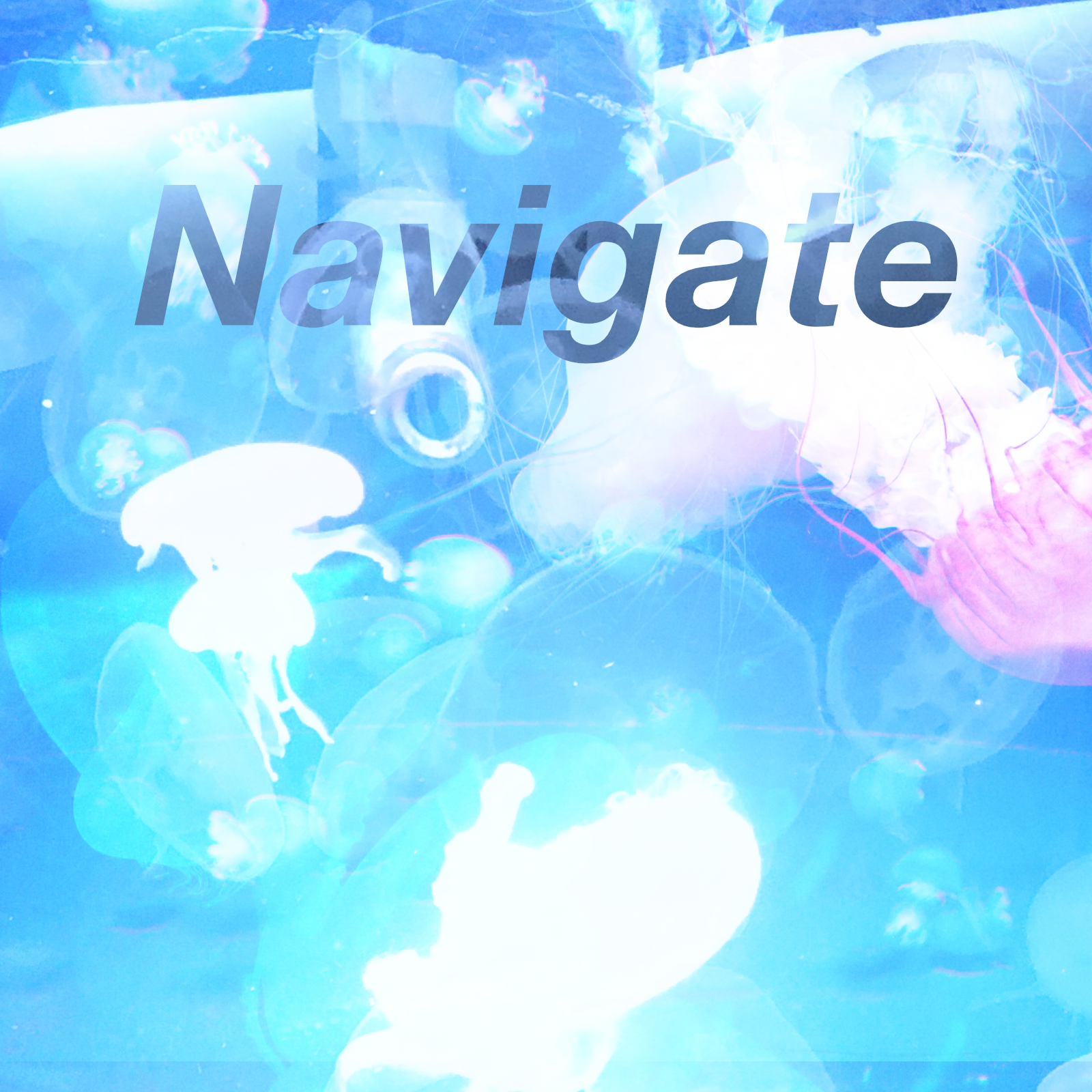 Navigate