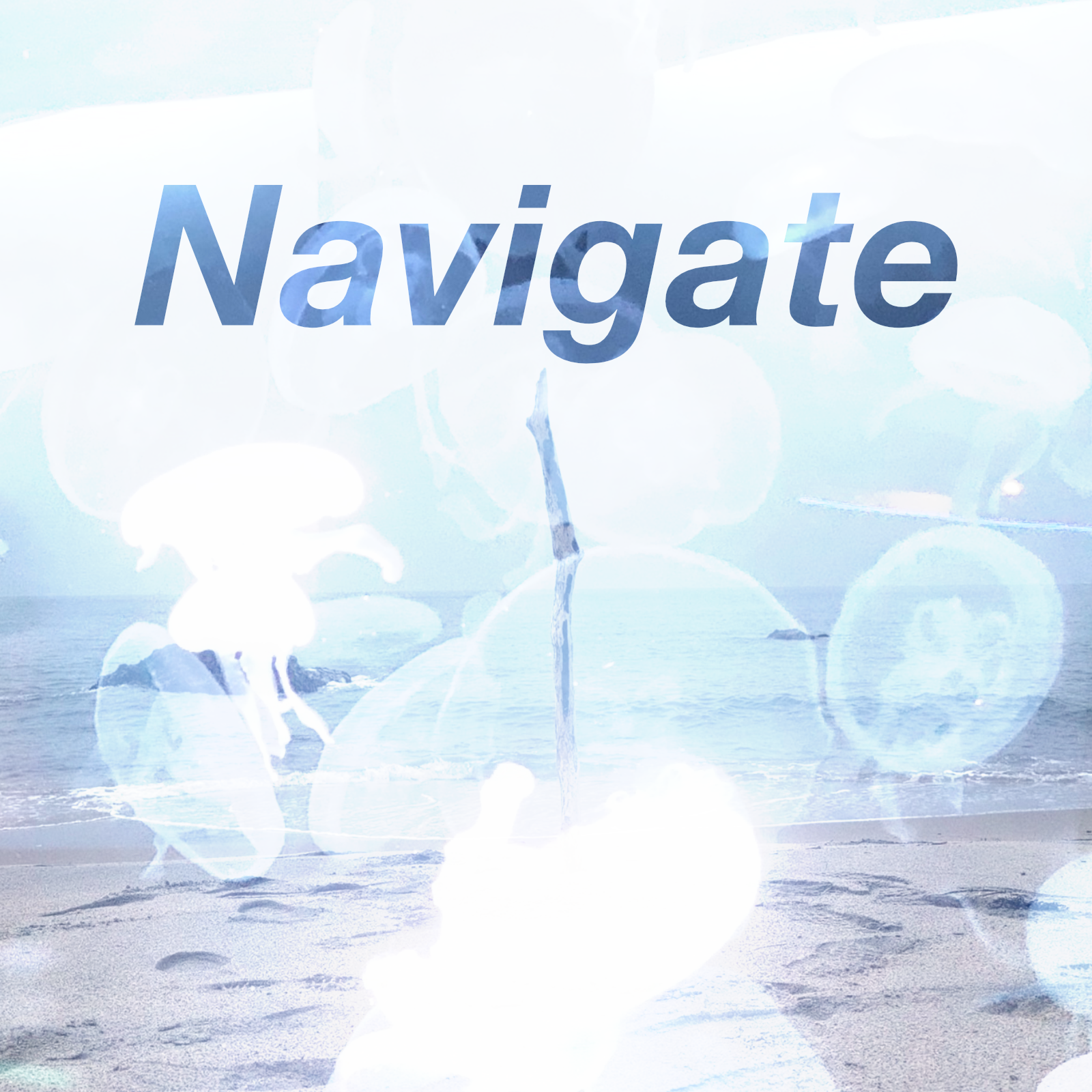 Navigate -nav ver.-